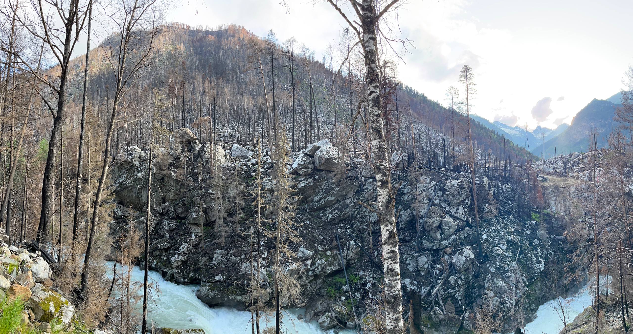 Панорама ледника с высоты